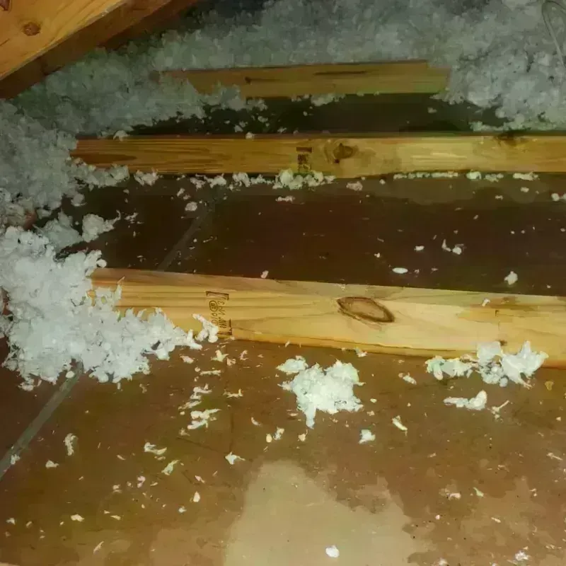 Attic Water Damage in Cutten, CA